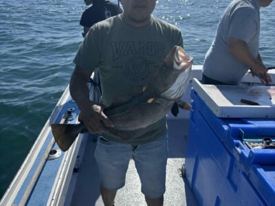 Sorry Charlie Fishing Report: Freeport, New York