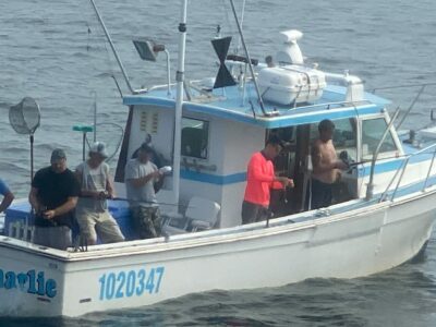 Blackfish and Cod Day Trips Aboard the Sorry Charlie